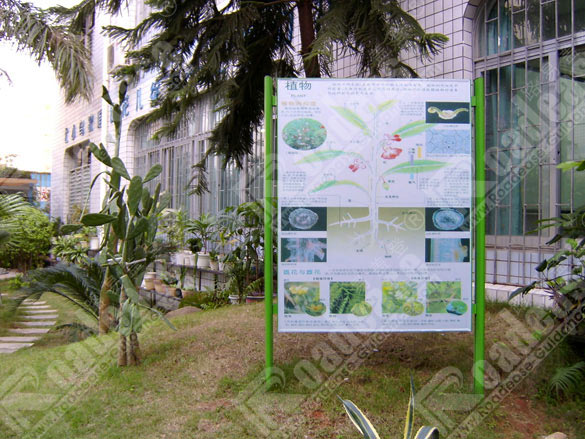 深圳市景莲小学宣传栏5482标识标牌图片